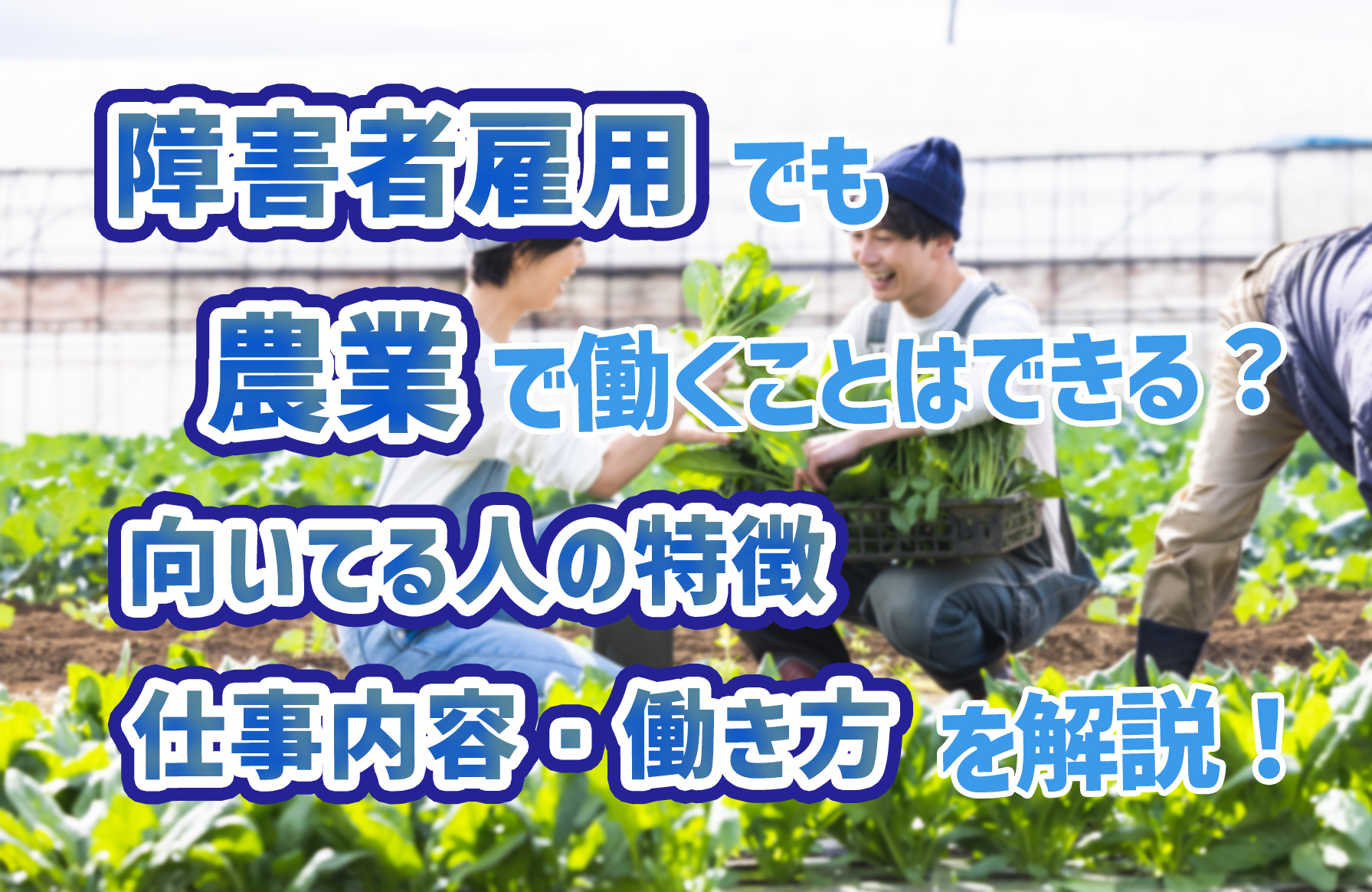 記事サムネイル
